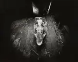 Emmet Gowin, ICE FISH, DANVILLE, VIRGINIA, Gelatin silver print, printed