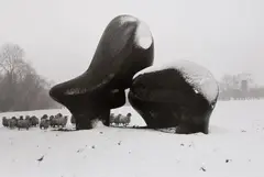 Joe Loengard, HENRY MOORE'S SHEEP PIECE, HERTFORDSHIRE, ENGLAND, Gelatin silver print