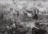 Sebastião Salgado, SUD-SOUDAN