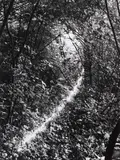 Dieter Appelt, LICHTKETTE (FROM THE SERIES: ERINNERUNGSSPUR)