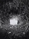 Dieter Appelt, UNTITLED (FROM THE SERIES: ERINNERUNGSSPUR)