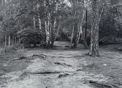 BERLIN GRUNEWALD by Michael Schmidt, Gelatin silver print on Agfa paper, sold Dec 2010