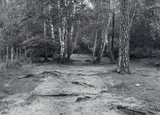 Michael Schmidt, BERLIN GRUNEWALD, Gelatin silver print on Agfa paper