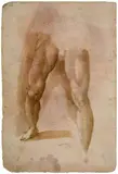 Domenico Beccafumi, STUDY OF A LEG VERSO: PORTRAIT OF A BEARDED MAN WITH HAT. Red chalk, Pen and brown ink