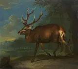 attributed to Johann Elias Ridinger, WOODED LANDSCAPE WITH DEER, Oil on panel