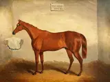 attributed to Harry Hall, THE HERO (ASCOT 1848), Oil on canvas (relined)