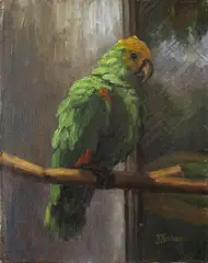 Margarethe Horstmann, A BRASILIAN MEALY AMAZON, Oil on cardboard