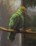 Margarethe Horstmann, A BRASILIAN MEALY AMAZON, Oil on cardboard