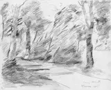 Lovis Corinth, Weg zwischen Bäumen: Waren (Path between Trees: Waren), Graphite drawing on lightly textured firm drawing paper