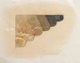 Dieter Roth, Little Cloud, Gravure printing (etching) on white laid paper, overworked with compound containing fat (presumably mayonnaise), in a plastic bag