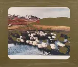 Dieter Roth, Fernsehhammels, Colour photograph overworked with acrylic in plastic foil