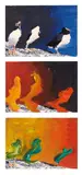 Dieter Roth, Untitled, 3 works: each acrylic on coloured postcard from Reykjavik with motif of the 3 puffins each