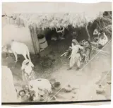 UNTITLED by Sigmar Polke, Gelatin silver print ca, sold Jun 2010