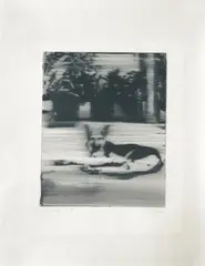 Gerhard Richter, Hund (dog), Butin 1 ["The artist blurred the still wet silkscreen colour with a broad flat brush, so that the sheet gets the characteristics of a print as well as a paintin
