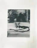 Gerhard Richter, Hund (dog), Butin 1 ["The artist blurred the still wet silkscreen colour with a broad flat brush, so that the sheet gets the characteristics of a print as well as a paintin