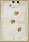Joseph Beuys, Empetrum Nigrum