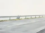 Sławomir Elsner, Polnische Autobahn (polish motorway)