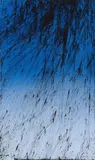 Hans Hartung, T 1981 - R 27