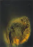 Otto Piene, Neon Night