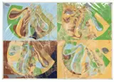 Dieter Roth, Thomkinspatent, Colour silkscreen and vegetable juice on cardboard in plastic cover