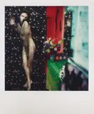 Lucas Samaras, UNTITLED (FROM THE SERIES: PHOTO TRANSFORMATIONS)