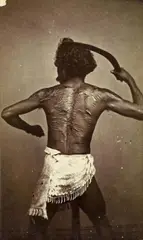 Daniel F. Metcalfe, UNTITLED (SOUTH PACIFIC), 3 albumen prints. Each
