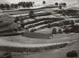 Albert Renger-Patzsch, TERRACED LANDSCAPE IN THE KAISERSTUHL AREA