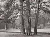 Albert Renger-Patzsch, ALDERS