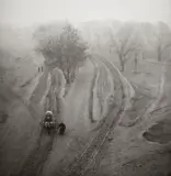 Hedda Morrison, ROAD ON THE OUTSKIRTS OF BEIJING, Vintage gelatin silver print on Agfa-Brovira paper
