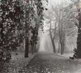 Max Baur, SANSSOUCI PARC, Vintage gelatin silver print on Leonar paper