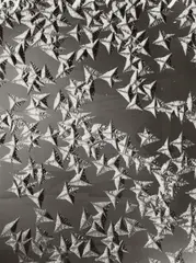 August Kreyenkamp, MACRO STRUCTURES, Vintage gelatin silver print on Agfa-Brovira paper