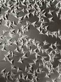 August Kreyenkamp, MACRO STRUCTURES, Vintage gelatin silver print on Agfa-Brovira paper