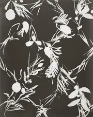 UNTITLED (PHOTOGRAMS) by Lou Bonin-Tchimoukoff, 2 vintage gelatin silver prints, sold Jun 2010