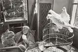 Henri Cartier-Bresson, HENRI MATISSE, VENCE