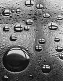 Peter Keetman, DROP OF OIL