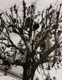 Siegfried Lauterwasser, UNTITLED