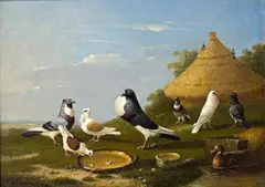 Franz van Severdonck, DOVES AT A POND, Oil on panel