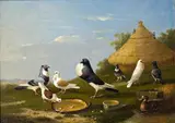 Franz van Severdonck, DOVES AT A POND, Oil on panel