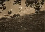 Heinrich Kühn, WANDERER UNTER ZWEIGEN