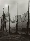 Albert Renger-Patzsch, NETZE