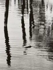 DÜCKDALBEN by Siegfried Lauterwasser, Ferrotyped gelatin silver print, printed later, sold Dec 2009