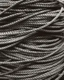 Toni Schneiders, UNTITLED (ROPE)