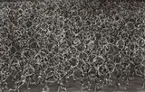 Lev Borodulin, SPORT ORNAMENT, Vintage gelatin silver print