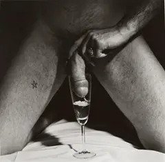 CHAMPAGNE by Robert Mapplethorpe, Gelatin silver print, sold Dec 2009