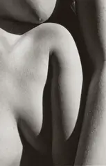 PORTFOLIO by Ernestine W. Ruben, Portfolio with 3 platinum prints on vellum, sold Dec 2009