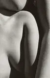 Ernestine W. Ruben, PORTFOLIO, Portfolio with 3 platinum prints on vellum