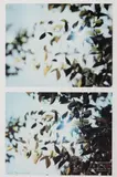 Thomas Demand, FLARE (DETAIL #18, #19), Digital print