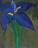 Iris by Rainer Fetting, 1989, Oil on canvas, sold Dec 2009