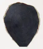 Raimer Jochims, Chromatisches Schwarz (Baumkopf) (chromatic black (top of the tree))