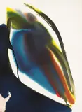 Phenomena Thoug Whip by Paul Jenkins, Watercolor on heavy wove paper embossed "VÉRITABLE PAPIER D'ARCHES", sold Dec 2009